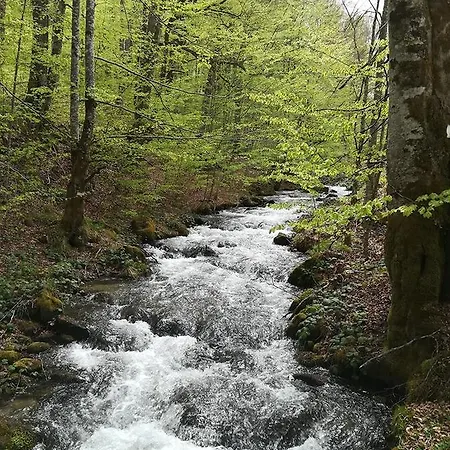 Bulgarka Penzion