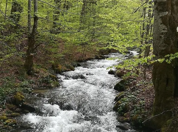 Bulgarka Guest house